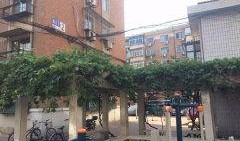 宜里图片,一幅自然与人文交融的美丽画卷