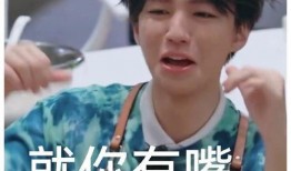 王俊凯表情包图片大全,笑点满满，青春活力无限
