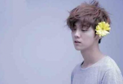 鹿晗最喜欢的女明星