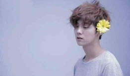 鹿晗最喜欢的女明星