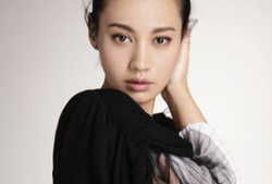 张咏个人资料,才华横溢的艺术家，人生轨迹与成就概览