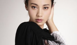 张咏个人资料,才华横溢的艺术家，人生轨迹与成就概览