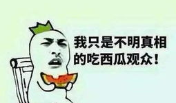 我就是个吃瓜群众图片大全,趣味横生的网络现象大盘点