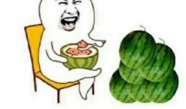 娱乐吃瓜问题,揭秘明星幕后故事与幕后黑手