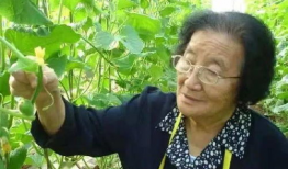 娱乐吃瓜酱甘肃人是谁啊