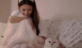 网红 陈瑶,从网络红人到影视新星，她的蜕变之路