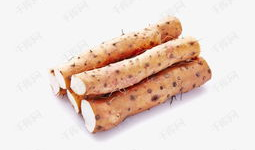 山药片图片,营养丰富的健康美食新选择
