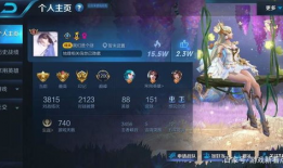 王者资料卡背景