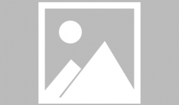 娱乐吃瓜问题,揭秘明星幕后故事与幕后黑手