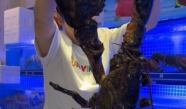 网红怪兽的家庭背景,揭秘背后神秘家庭背景