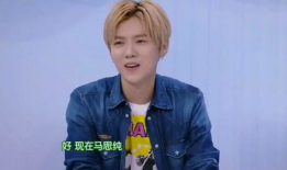 鹿晗最喜欢的女明星