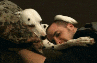 吃瓜娱乐图片搞笑版