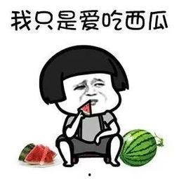 吃娱乐圈搞笑瓜