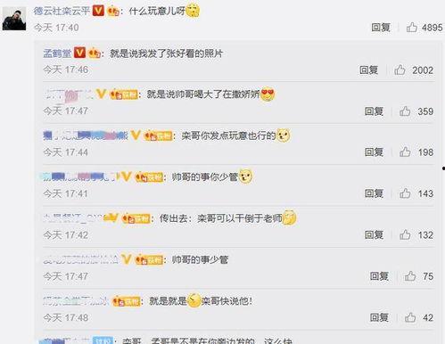 娱乐吃瓜798网址在线观看,独家在线观看盛宴